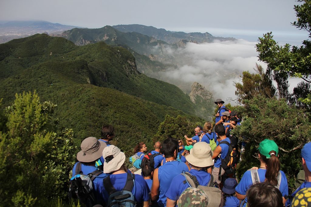 Grupo de Ruta Siete caminando por un sendero sobre un mar de nubes